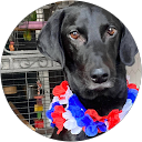 harm lolbroek profile picture